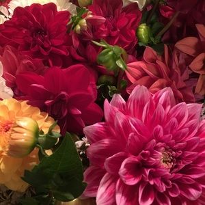 Meet your Posher, Vicki